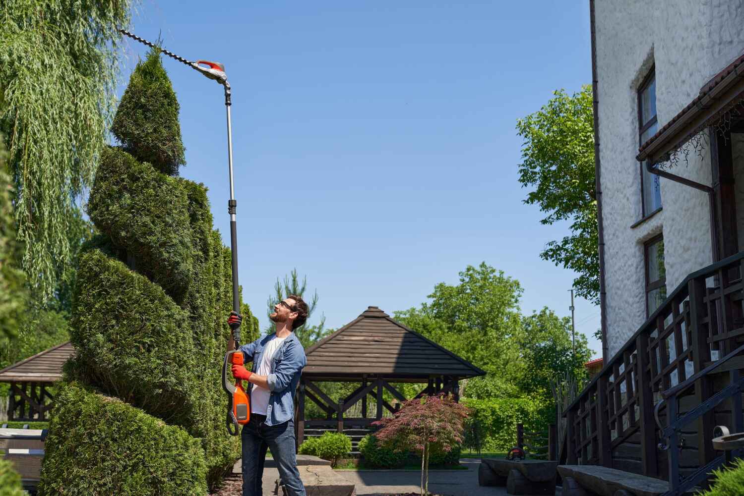 Professional Tree Service in Belleair Bluffs, FL